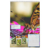 改訂：「翼を取る」 カレンダー (2月 2026)