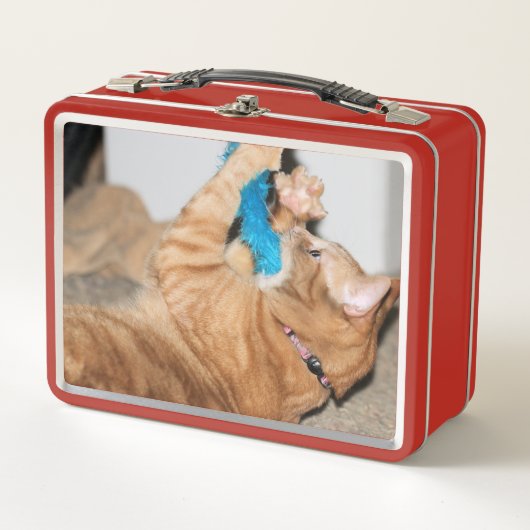 攻撃を待ち伏せする メタルランチボックス (正面)