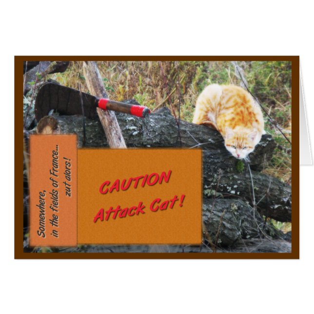 攻撃猫 (正面横)