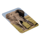 攻撃的なポーズのゾウ マグネット (右側)