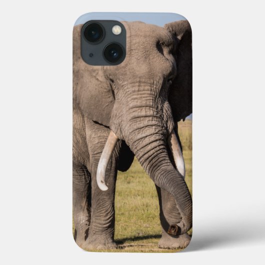 攻撃的なポーズの象 Case-Mate iPhoneケース (裏面)