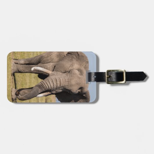攻撃的なポーズをとった象 ラゲッジタグ (正面横)