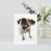 攻撃的な ポストカード (スタンド正面)