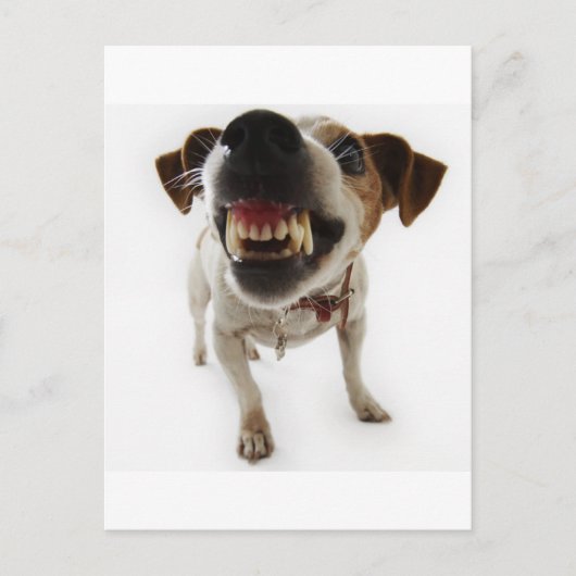 攻撃的な ポストカード (正面)