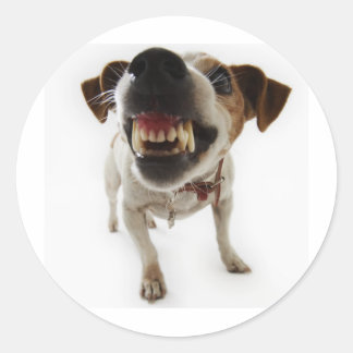 攻撃的な ラウンドシール