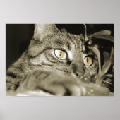 攻撃 ポスター (正面)