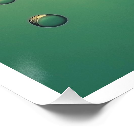 放した瞬間 ポスター (コーナー)