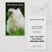 放し飼いの卵の層か家禽の鳥 名刺 (正面/裏面)
