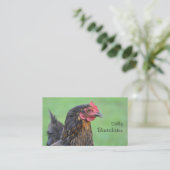 放し飼いの雌鶏および卵の写真 名刺 (スタンド正面)