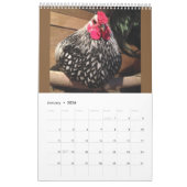 放し飼いの鶏2016のカレンダー カレンダー (1月 2026)