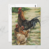 "放し飼いの"オンドリ及び2羽の雌鶏の郵便はがき ポストカード (正面/裏面)
