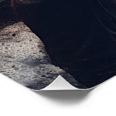 「放せ、引っ張られよ」と強力な馬 ポスター (コーナー)