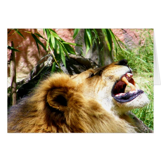 放っておけ_ (正面横)