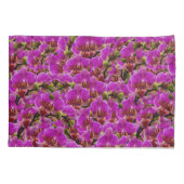 放射団：マゼンタオーキッド交響曲 枕カバー (裏面)