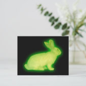 放射性ウサギ ポストカード (スタンド正面)