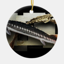放射状のチョウザメ3Dのコラージュ セラミックオーナメント