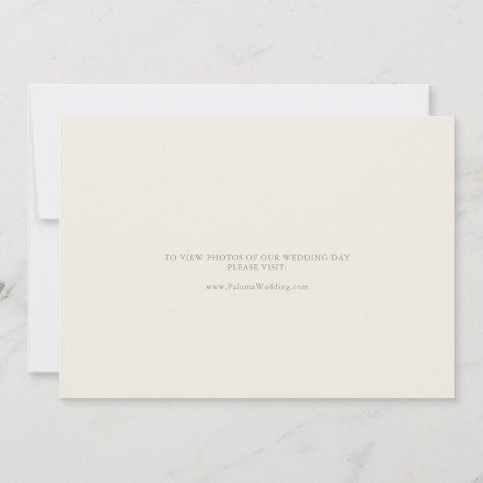 放射色数々のの野草落ち 案内状 (裏面)