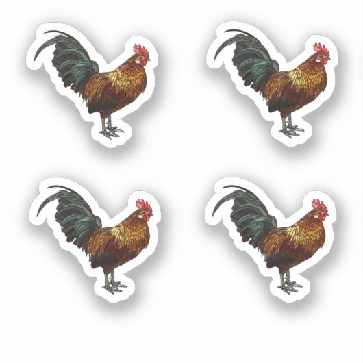 放射雄鶏 シール (正面)