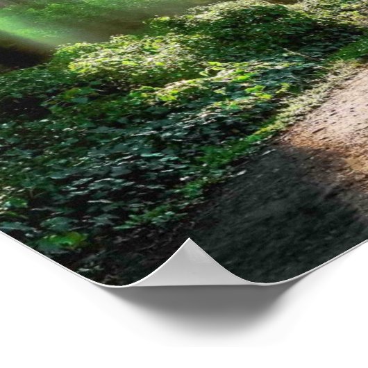 放射 ポスター (角)