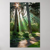 放射 ポスター (正面)