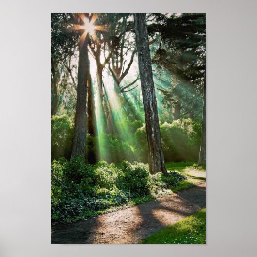 放射 ポスター (正面)