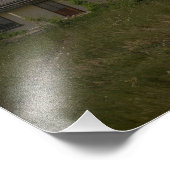 放棄されたコットンウッドサウスダコタアットナイト フォトプリント            (角)