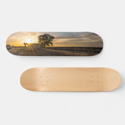放棄されたシェッドコロラドサンセットスケートボード スケートボード (横)