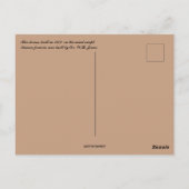 放棄されたハウスオンザウィンドカンザスプレーリー ポストカード (裏面)