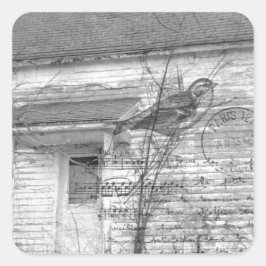 放棄されたハウスバードミュージックの編集 スクエアシール