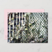 放棄されたハウスフロントステップクイーンアンズレース ポストカード (正面/裏面)