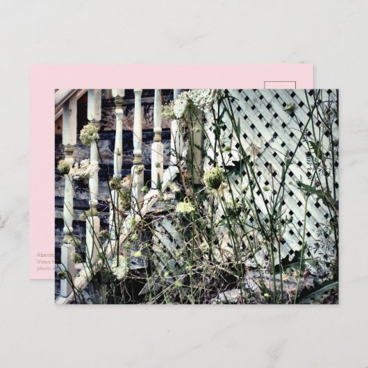 放棄されたハウスフロントステップクイーンアンズレース ポストカード (正面/裏面)