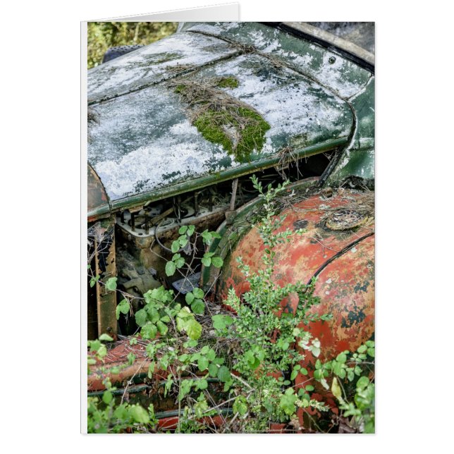 放棄されたヴィンテージトラック (正面)