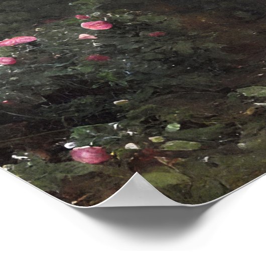 放棄された城のバラガーデン – ヴィンテージアート ポスター (角)