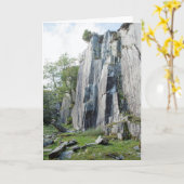 放棄された採石場ティルベルスワイト カード (黄色い花)