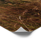 放棄された農場と錆びたオレンジのダッジトラック ポスター (角)