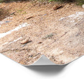 放棄された金ゴールド鉱山 ポスター (角)