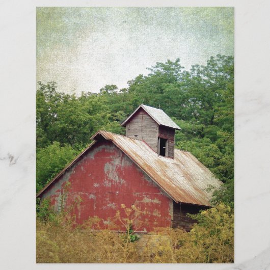 放棄されて過成長 (正面)