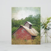 放棄されて過成長 (スタンド正面)