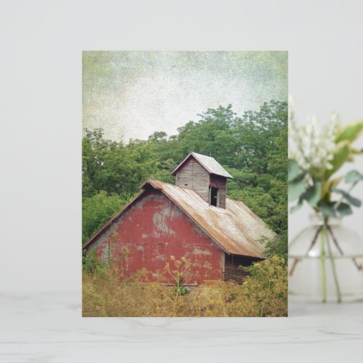 放棄されて過成長 (スタンド正面)