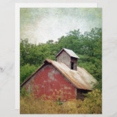 放棄されて過成長 (正面/裏面)