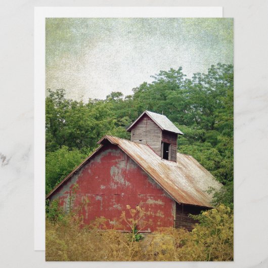 放棄されて過成長 (正面/裏面)