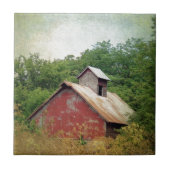 放棄されて過成長 タイル (正面)