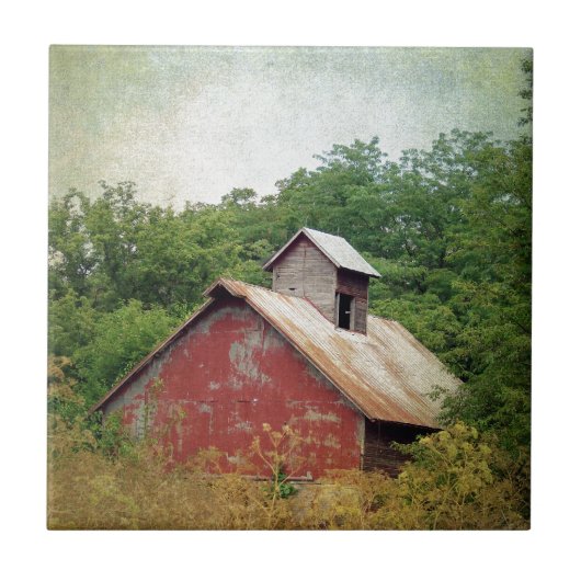 放棄されて過成長 タイル (正面)