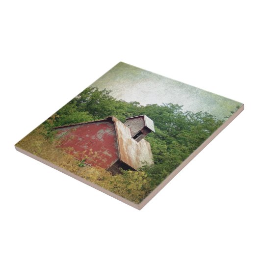 放棄されて過成長 タイル (側面)