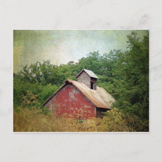 放棄されて過成長 ポストカード (正面)