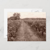 放棄ブドウ園 ポストカード (正面/裏面)
