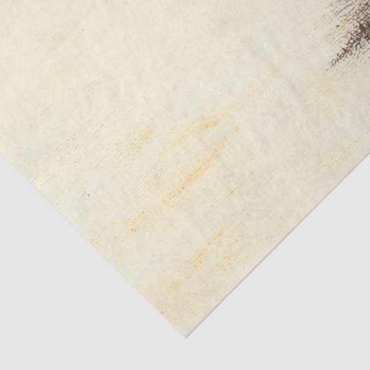 放棄素朴された教会絵を描の切り離し 薄葉紙 (詳細)