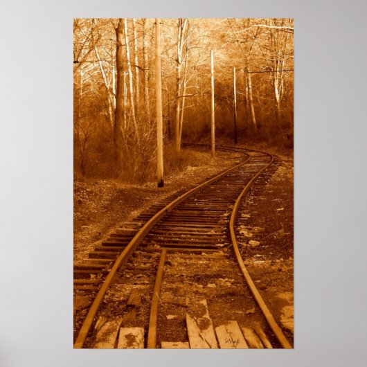 放棄 ポスター (正面)