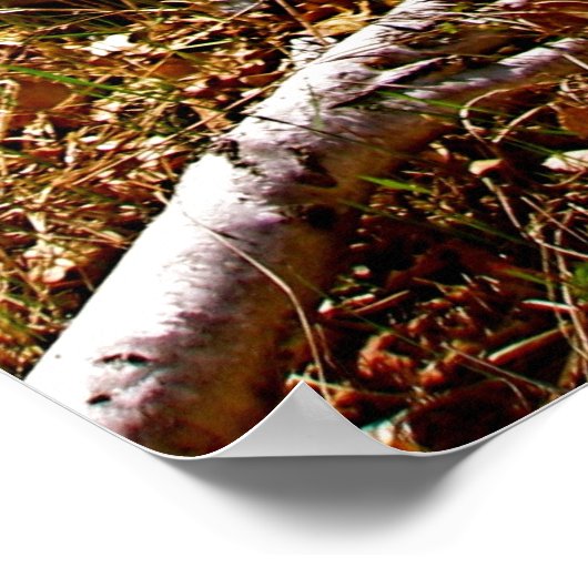 放棄 ポスター (角)