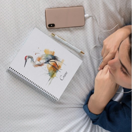 放浪の杖カスタム、 ノートブック